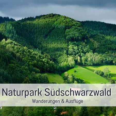 Stadtdomizil Ziegelfeld - Ruhig & Zentral, 65